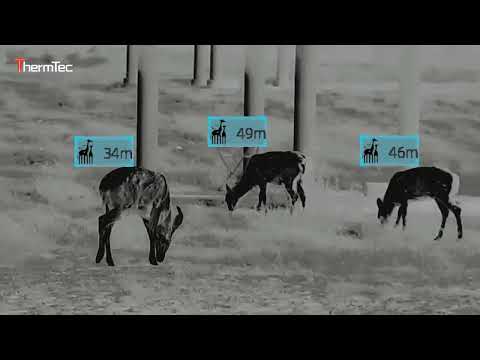 Тепловізор CYCLOPS 335P  Дистанція виявлення, 1800 м, видео 2