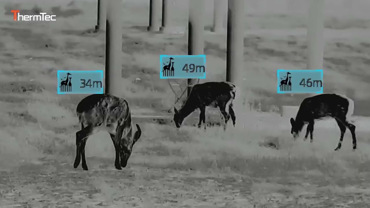 ThermTec Cyclops｜AI intelligent ranging function｜Thermal imaging monocular