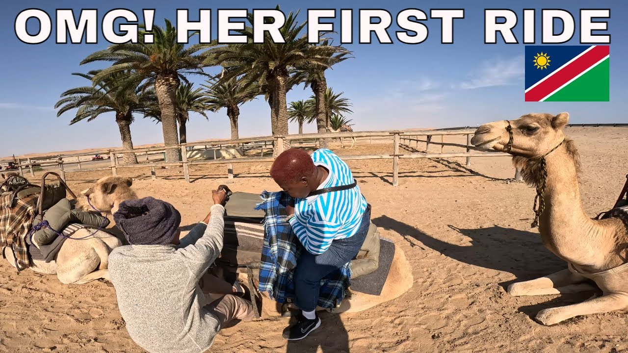 First Time Camel Riding in Namibia | Zimbabwean & American Experience ...