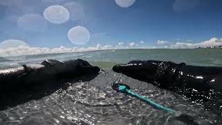 Bodyboard Wave 14 Fail: Rogue Wave Wipeout @ PONTA (POV)