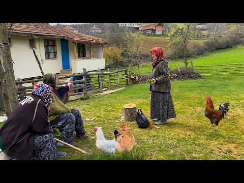 Köy Hayatı. Günlük Rutin Köy İşleri - Türkiye Köyünde Yaşam. Köy Belgeseli