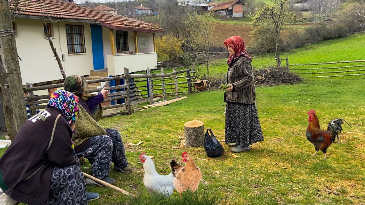 hayalet videoları