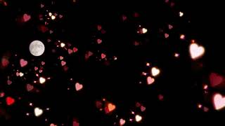 neighsayer - photoremedy