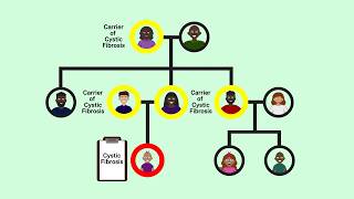 Genetic testing: Carrier testing