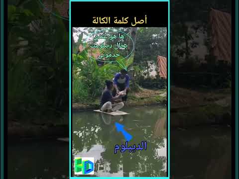 أصل تسمية الكالة و دورها في الحفاظ على الإستقرار المهني و تجنب الغرق ببلدي المغرب الجزائر ترند