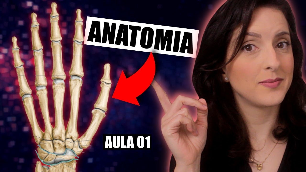 Aprenda FÁCIL a Anatomia dos 27 Ossos da Mão: Falanges, Metacarpo e Carpo [PARTE 1/2]