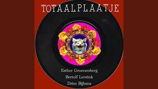 Download Lagu Totaalplaatje MP3