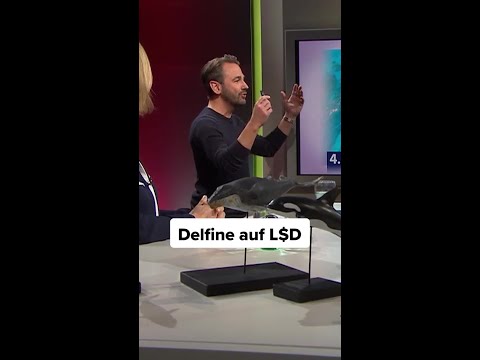 Delfine auf Drogen. Kein Witz.