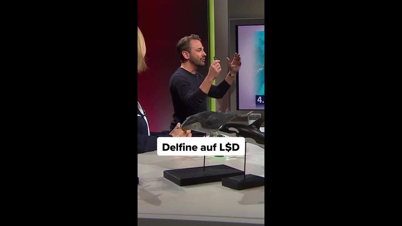 Delfine auf Drogen. Kein Witz.