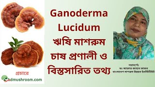 ঋষি মাশরুমচাষ প্রণালী ও বিস্তসারিত তথ্য | Ganoderma Lucidum | Reishi mushroom | Pluteaceae