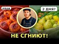 Как хранить груши, чтобы НЕ сгнили за 2 дня.