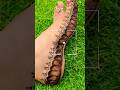 sawan special foot mehndidesign #esy &amp; stylish😍 tutorial using finger mehndidesign #shorts #ytshorts