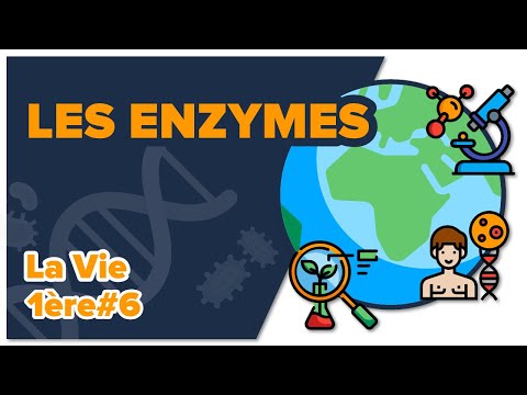 Vidéo: Pourquoi l'induction enzymatique est-elle importante ?