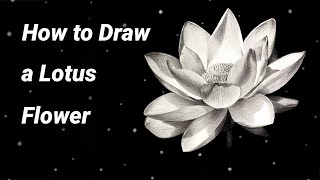 How to Draw a Realistic Lotus Flower - Step by Step