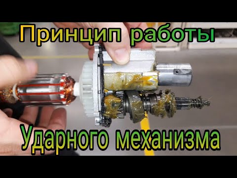 Видео на YouTube