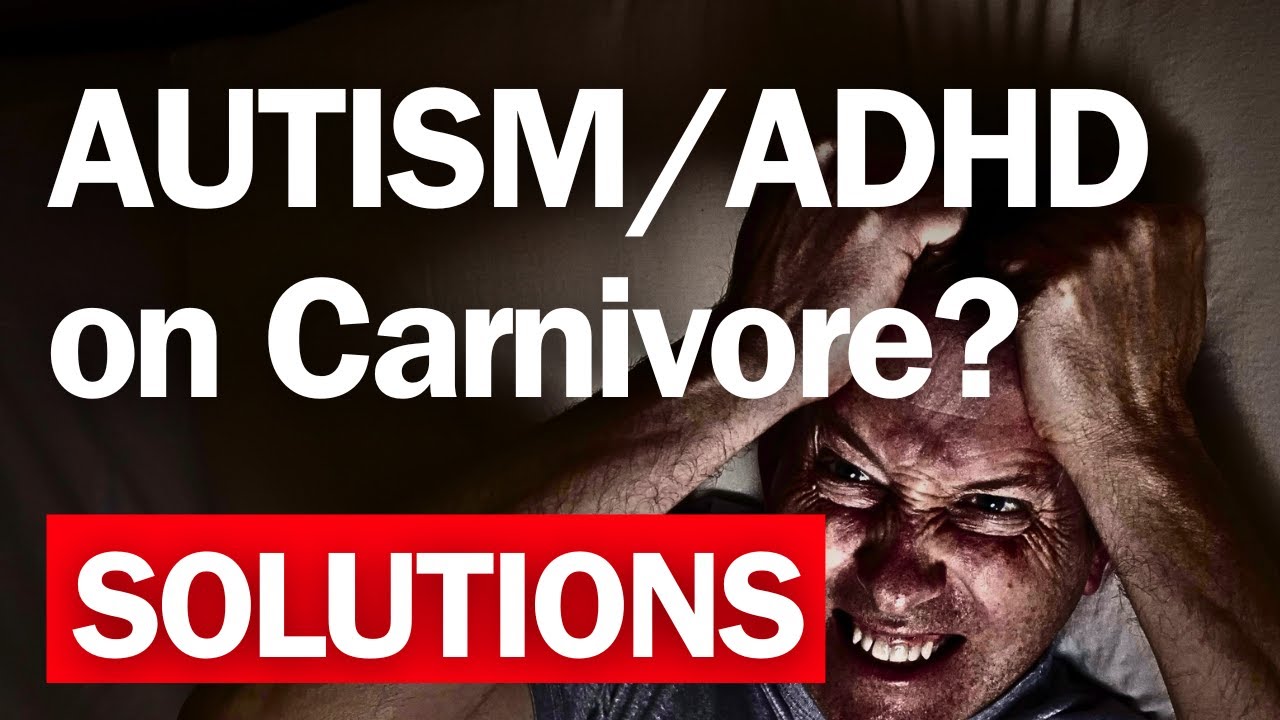can-carnivore-improve-autism-adhd-carnivore-team-gb-live-q-a-23