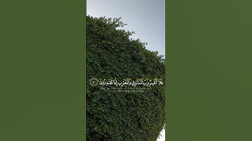 أرح سمعك في ايات القران الكريم  مع منظر جو السماء الصافيه  لقوله تعالى (كلآ إنا خلقنٰهم مما يعلمون )