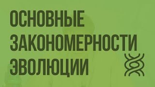 видео Общие критерии, основные изменения