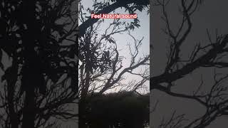 feel Natural sound #song #iykstories