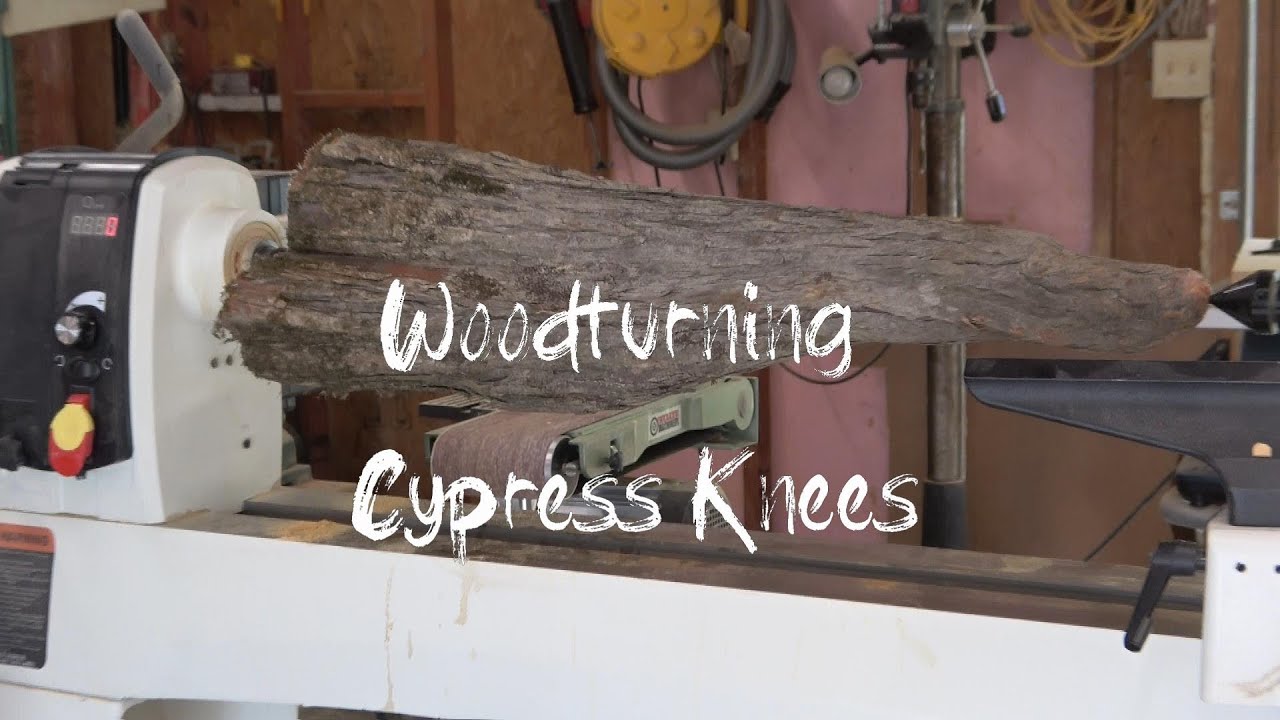 Wood Turning - Live Edge Bowl From a Cypress Knee