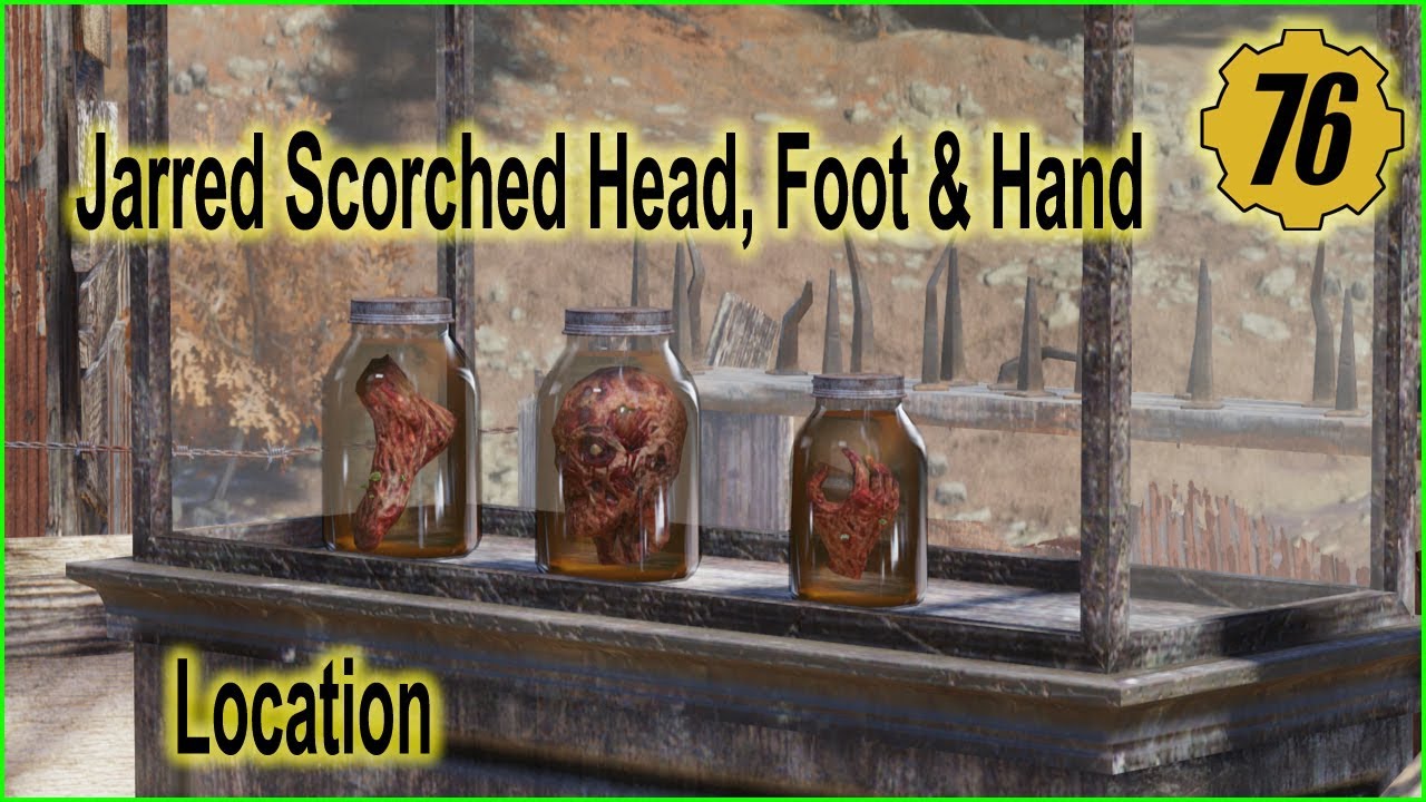FALLOUT 76 Display Scorched Head Foot and Hand Location