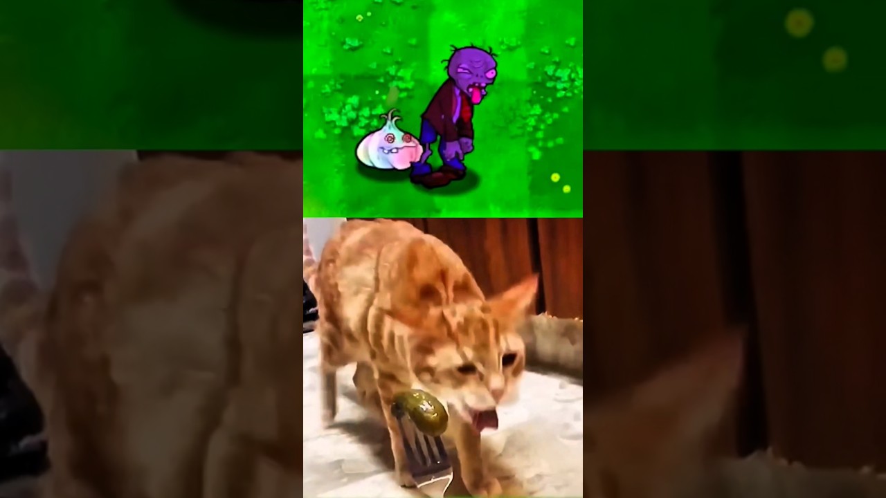 PVZ "Zombie vomiting 🤮😂(pvz)