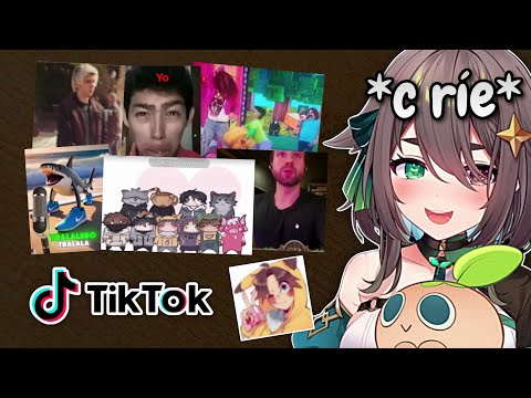Meica sees the LIKES of Soarinng on TikTok