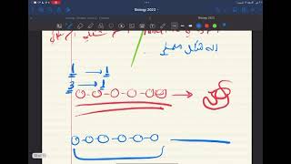 Biology Chapter 5 lecture 2 part 3  - polypeptides