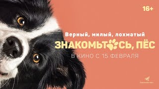 ЗНАКОМЬТЕСЬ, ПЁС - КОМЕДИЯ С 15 ФЕВРАЛЯ