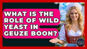 What Is The Role Of Wild Yeast In Geuze Boon? - Exploring The Benelux