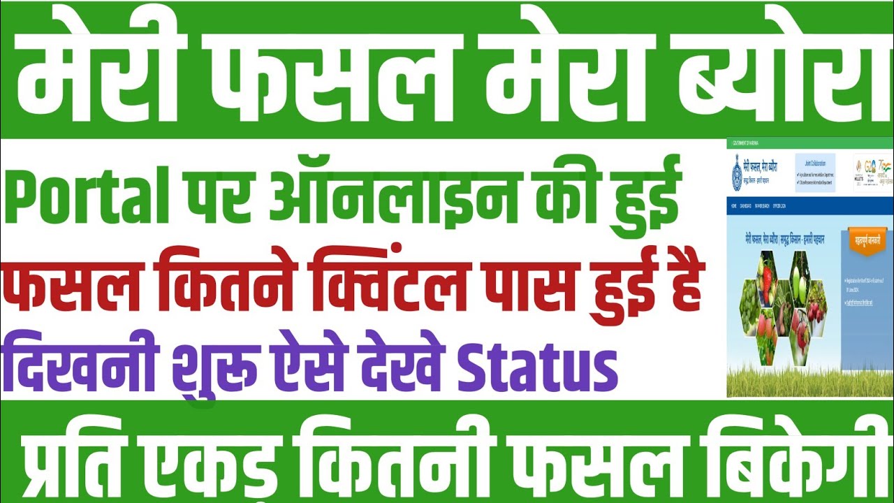 Fasal R meri fasal mera byora par🔥 fasal verification status kaise check kare ...