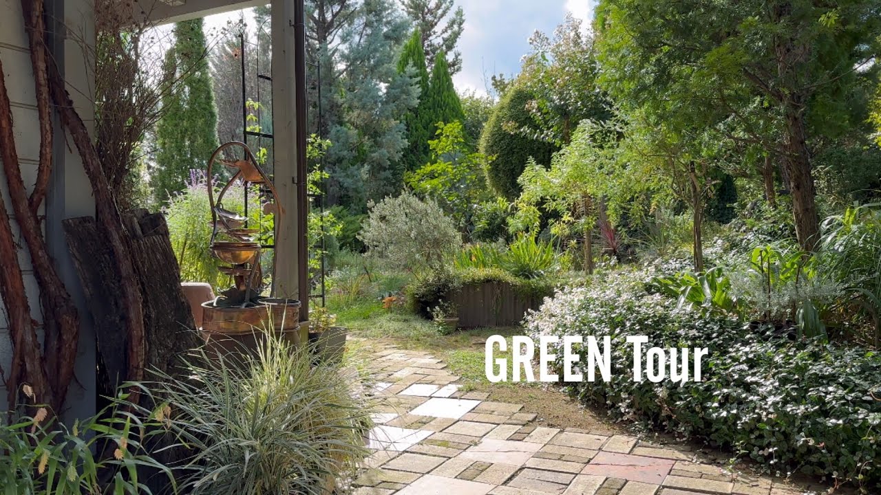 宿根草と針葉樹とハーブのどこから見ても絵になるお庭はオランダデザイナー考案の森林を散歩してるようなナチュラルガーデン！ | YUUKIES GARDEN |  園芸/ガーデニング店巡り | 京都/右京