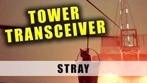[STRAY] Installing the transceiver to the tower.