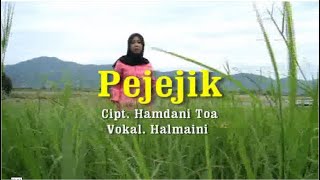 HALMAINI - PEJEJIK (TUWALIN MUSIC)