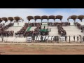 Unbelievable Fan Moments Of 2016!