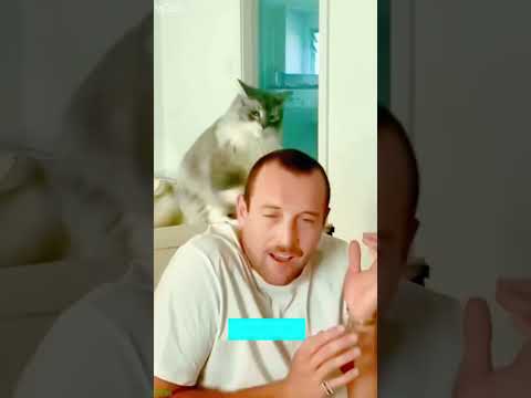 Funniest Cat 😼 New Funny Cats 2024 😼 # Ep 5258