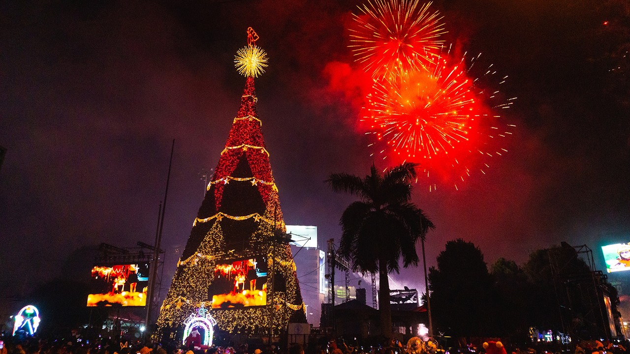 Festival del Árbol Navideño Gallo, Ciudad de Guatemala 2025 - YouTube