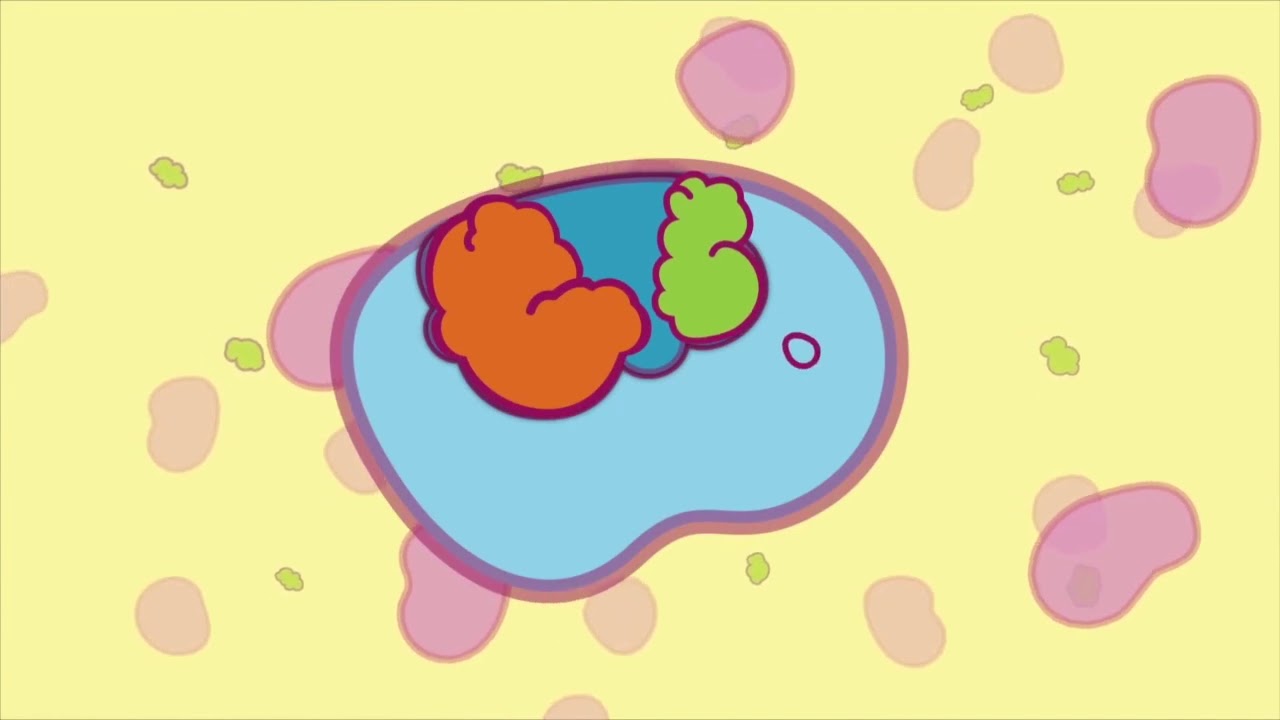 Biochemistry 101 Enzyme (Lecture 5 of 12) YouTube