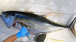 60 lb Giant Tuna Cutting Skill  鮪魚切割技能   How to Cut a Bigeye Tuna for Sashimi