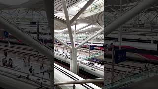 Changsha South Railway Station, HunanProvince's largest high-speed rail hub! #shorts #train #railway