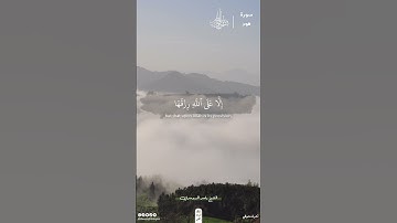 وما من دابة في الأرض إلا على الله رزقها | سورة هود | ياسر الدوسري #قرآن #اكسبلور #ذلك_الدين_القيم