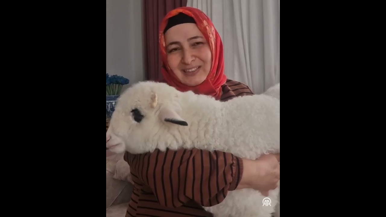 "Kuzu Sayesinde Oğlumu Yeniden Kazandım" | Otizmli Ali Eren’in İnanılmaz Değişimi #hayvan #otizm