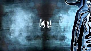 Gojira - Vacuity chords