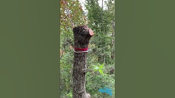 Controlled Speed Line (AKA: A SLOW LINE)