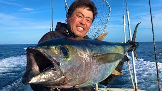 釣り上げた20kgのマグロ解体してみた（生配信）