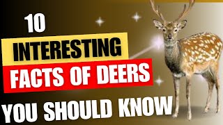 10 facts about deer| Fun facts about Deer🦌