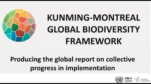 Preparing the global report on implementation of the Kunming-Montreal Global Biodiversity Framework
