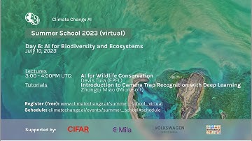 AI for Biodiversity and Ecosystems