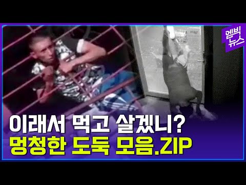 도둑질 적성 안맞음...웃참 영상 모음zip