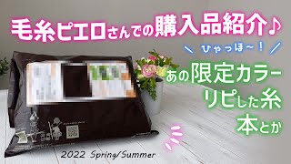 【購入品紹介】コットン・ニィート（S）あの限定色を購入♪／毛糸ピエロさん監修、Ami chiku laboさん、リリナナさんが作品提供したデイリーバッグの本